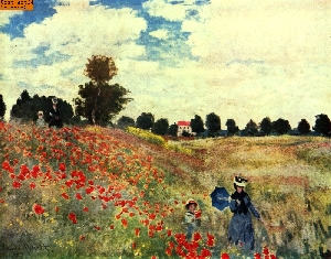 Das Mohnfeld nach Monet